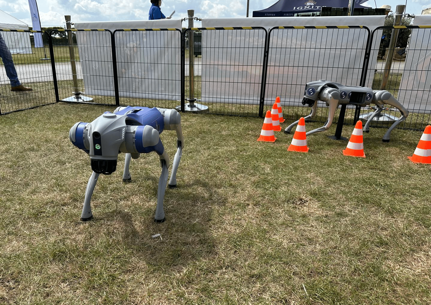 Two robot dogs in a pen